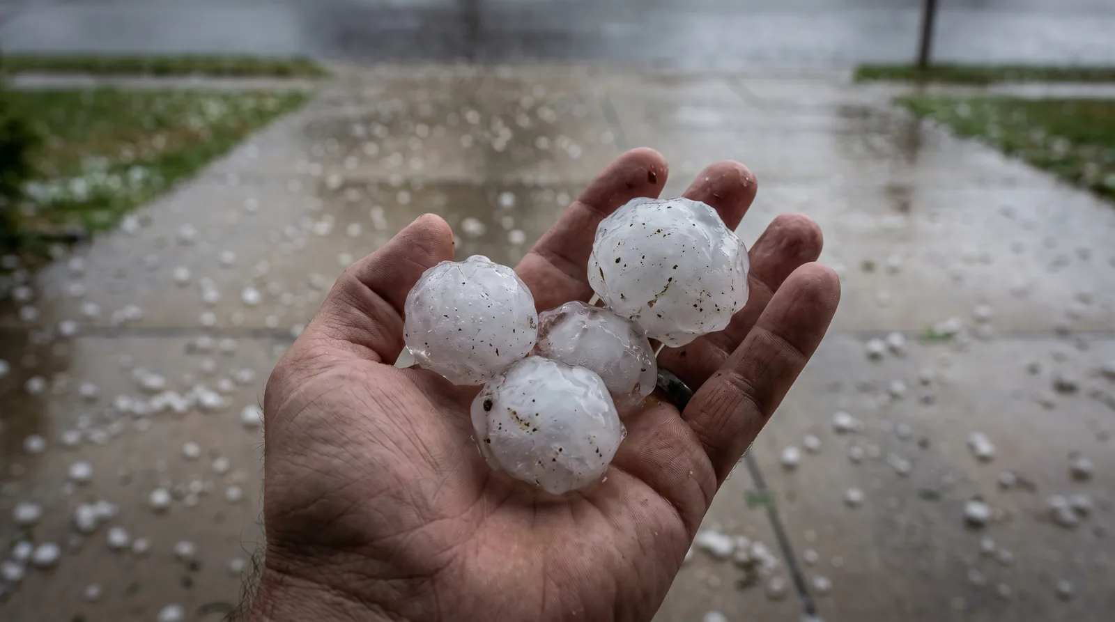 A handful of hailstones roughly golf-ball sized held over a driveway after a Johnson County storm